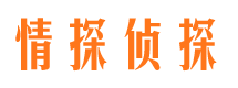 秦都侦探公司